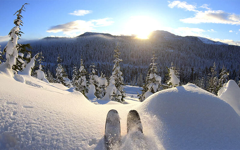 Ski area